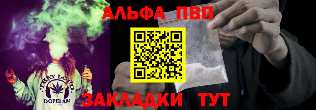 Альфа ПВП СК КРИС Сальск