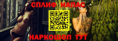 стафф Будённовск