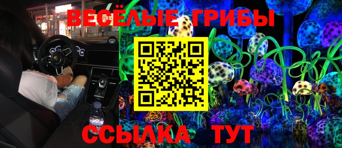 Сальск  Галлюциногенные грибы Psilocybe  Псилоцибиновые грибы MAGIC MUSHROOMS  Вход с VPN 