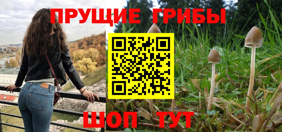 Псилоцибиновые грибы прущие грибы Сальск